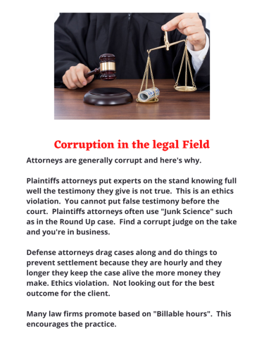 Corruption in the legal Field