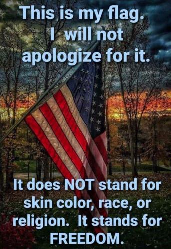 Freedom flag