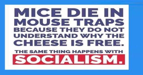 Socialism - Mouse traps 2