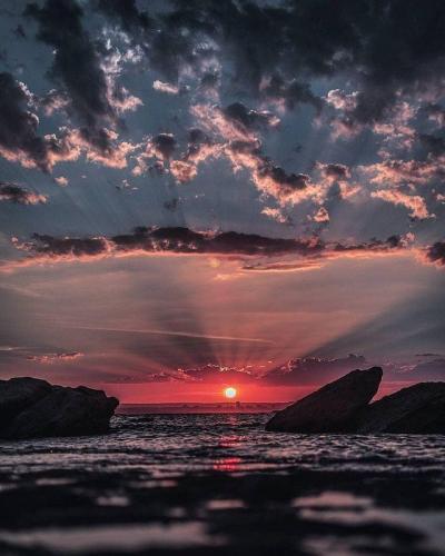 C3554E7A-3641-4189-A510-38C53E31BF72