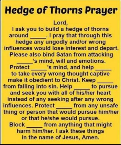 E2612ADF-EEE8-4A4A-9BD7-95969BDEBDF7