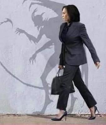 kamala+D