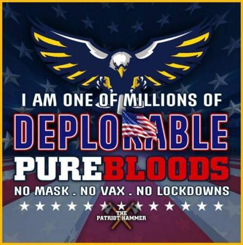 f2408289-b2cd-4626-b350-8dd21e6b8c62