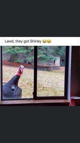 CD8B672A-80B8-422A-852E-4A717E44BCF8