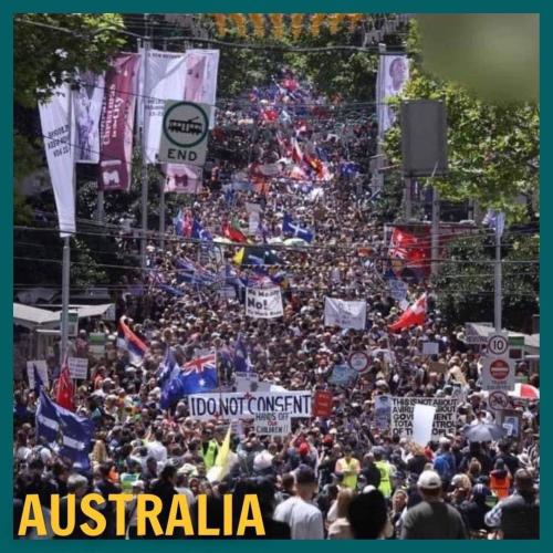 Tumblr_l_35138529938313