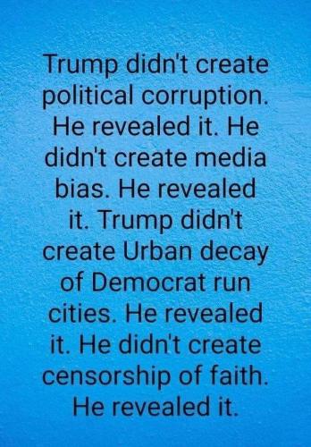 image_1636108704.421