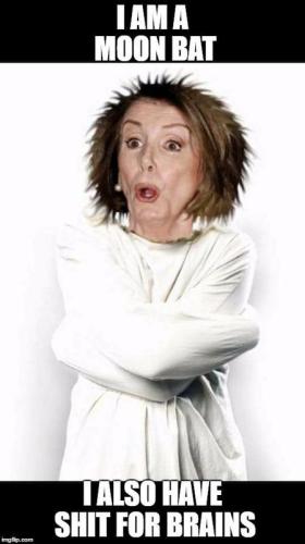 moon bat