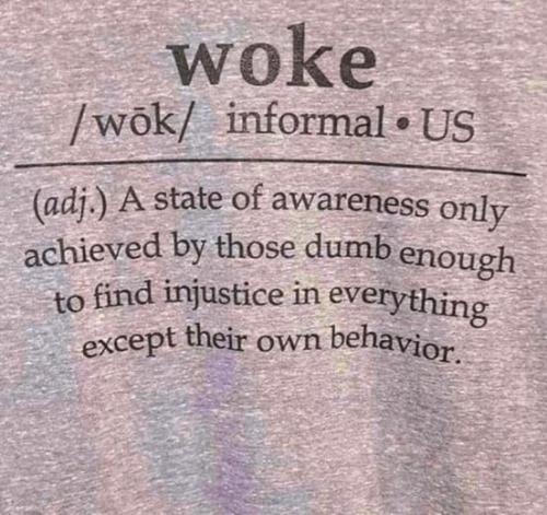 Image-3991