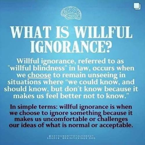 257382101_1307150063060817_2743620406460951369_n