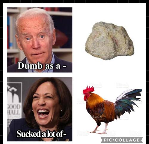 260580525_4936489956374776_8226322928084927075_n