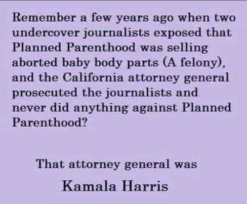 image_1636296579.695