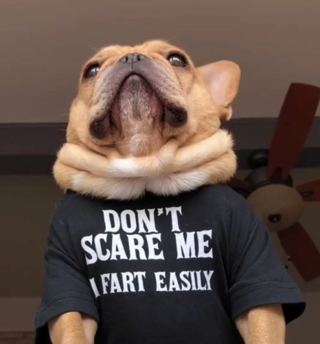 RDT_20210622_0647506911611067237407708