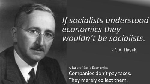 000hayek socialists