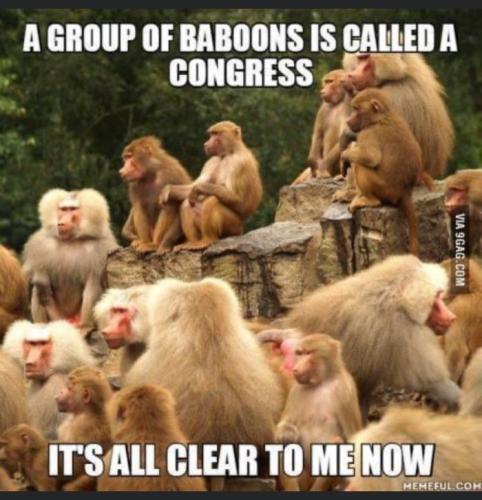 18E4F7F7-4EF2-47C7-8EFF-89E016D59827