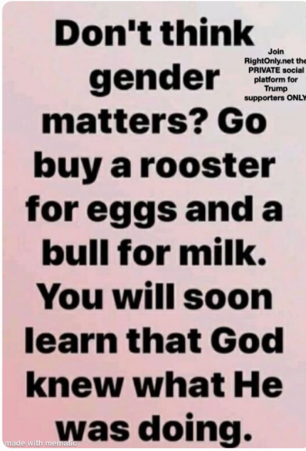 Capture+_2021-11-21-08-19-46(1)