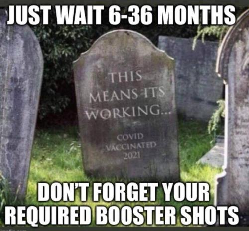 z236