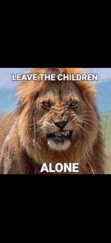 0377D52F-F06A-4E7A-B368-BC71B1401CB6