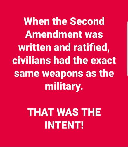 GunControl27