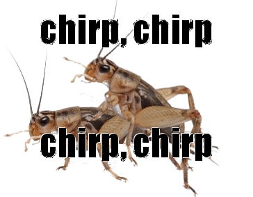 CRICKETS