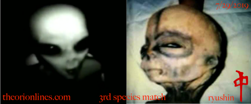6A68D81C-A353-40FD-8475-D81015C42102