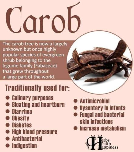 Carob