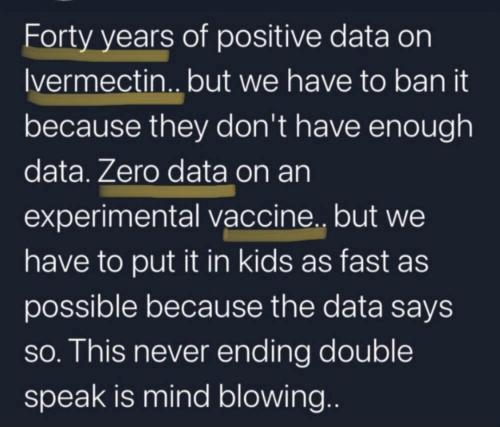 THE NEVER ENDING DOUBLE SPEAK