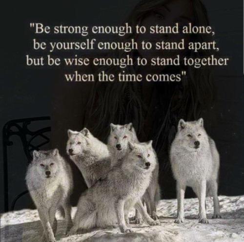 BE STRONG ENOUGH TO STAND ALONE
