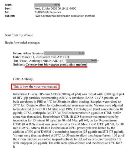 Covid-19 & Fauci involvment