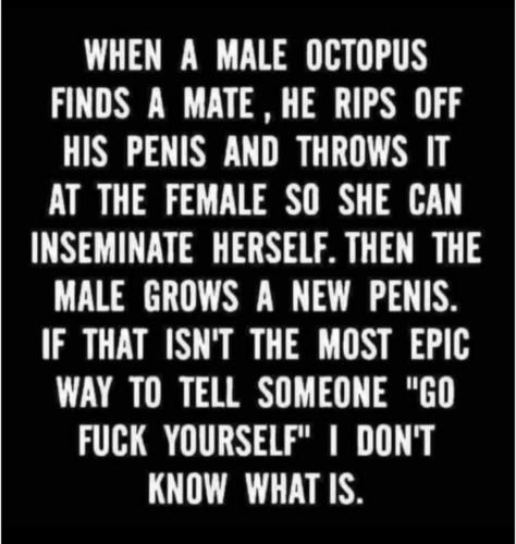 9CD222A6-5CD8-4D65-BB3B-EE68FD7A8072