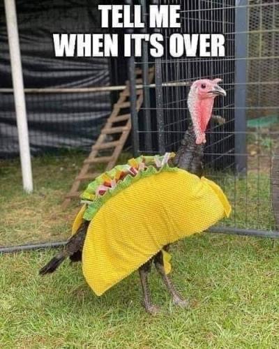 IMG_20211118_150702_671