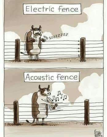 Acoustic Fence