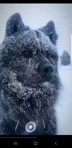 Screenshot_20211106-210007_Telegram