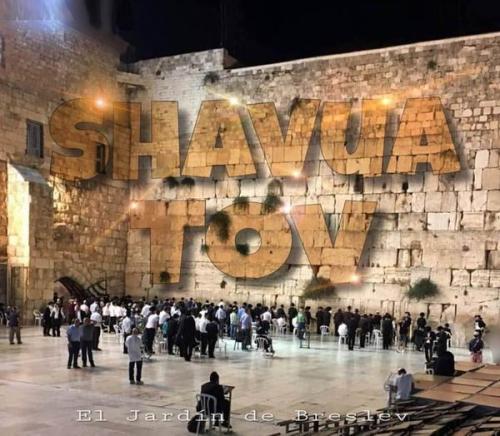 shavua tov 181