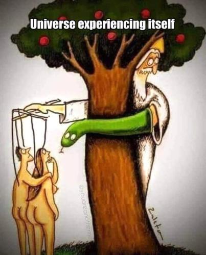 255340829_1509681459418847_3607234093317861695_n