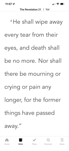 3681B5C0-A9EA-45BA-B5AE-2252A7813401