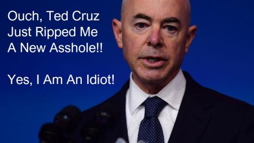 Mayorkas Ted Cruz Rips New Asshole