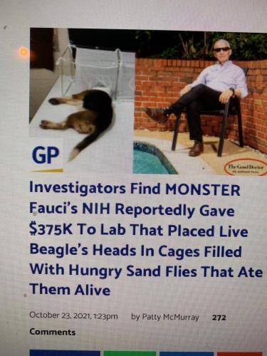 fauci mengele