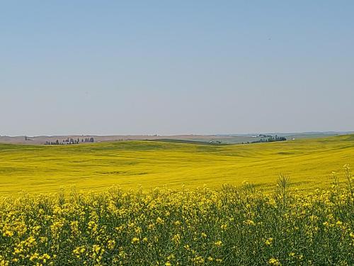 IMG_20200703_123310