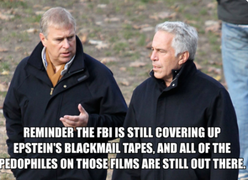 Capture+_2021-11-04-09-46-36(1)