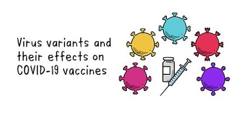 512px-WHO_EN_Banner_-_Effects_Virus_Variants_on_COVID-19_03Mar2021-1