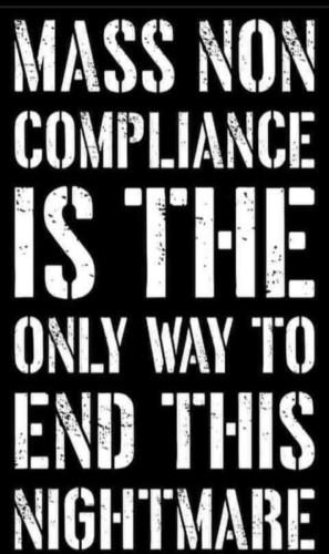 9a05dd40e032af50925c2a47f5d6e9c2_1024