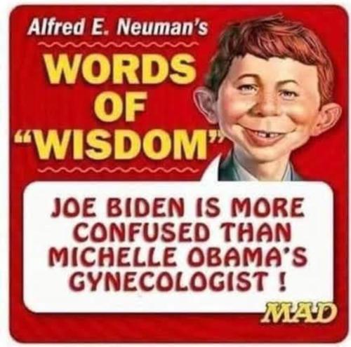 21ffbbd6fc387f6ed0c1630c73769aef_500x0