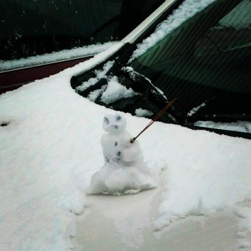 IMG_20180117_121543_265