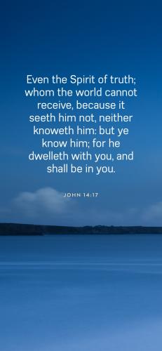 43CBE2ED-E5C7-4200-8FC6-984E0CF604A6