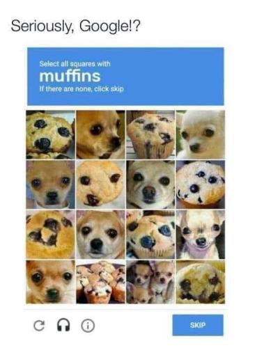 muffins