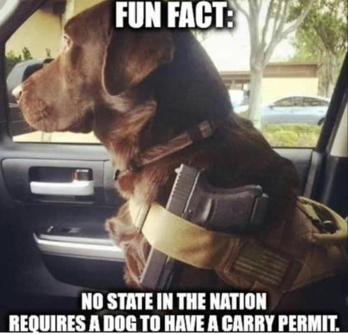 E1gt4J6XMAEF0pI-1024x984