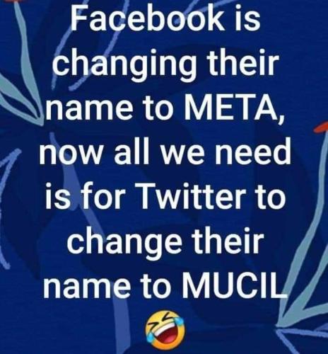 meta