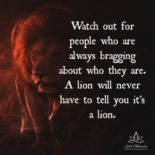 254905153_877310542952426_7769293067782640979_n