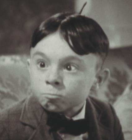 Alfalfa