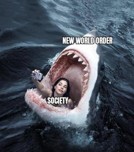 NWO funny wG